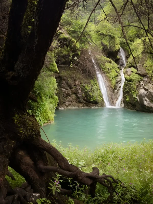 SnapInsta.to_550187816_18530359894036096_7429131242377987955_n-600x800 1 Salalah Mountain & Heritage Tour – Ain Jarziz & Etin Balcony