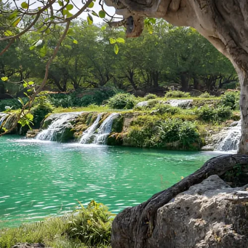 East Salalah Half-Day Tour – Heritage & Nature Escape