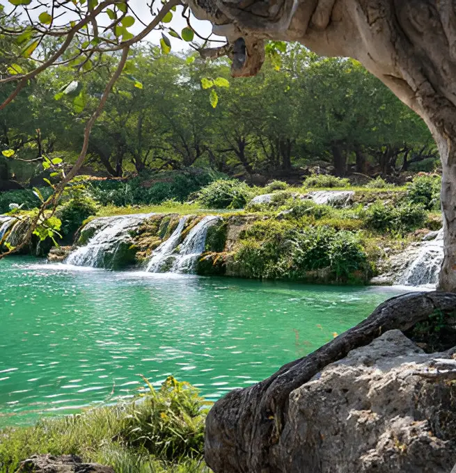 East Salalah & Mirbat Full-Day Tour Package